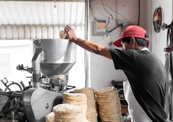 Precio de la tortilla en CDMX se dispara en estas colonias, ¿cuánto costaba y cuánto cuesta ahora?