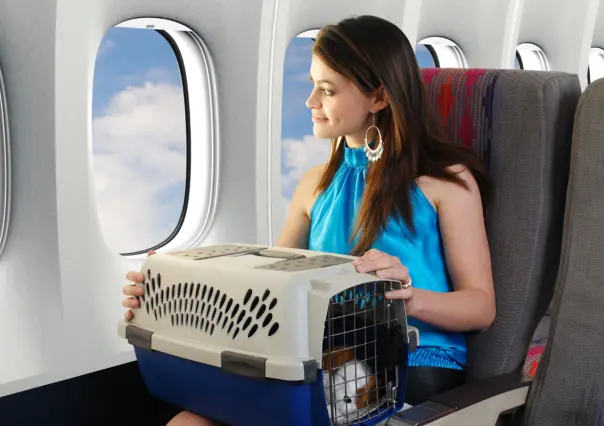 ¡Evita el estrés! Guía práctica para viajar con tu mascota y tener un vuelo tranquilo