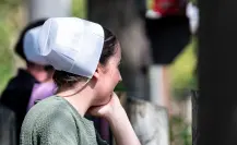 Menonitas en Tamaulipas: agricultura, ganadería y queso artesanal Menonitas en Tamaulipas: agricultura, ganadería y queso artesanal