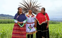 Edomex reduce pobreza en mujeres, jóvenes y adultos mayores con programas sociales Edomex reduce pobreza en mujeres, jóvenes y adultos mayores con programas sociales