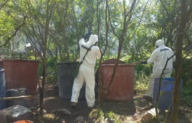 Aseguran más de 6 mil millones de pesos en droga en Durango; esto se sabe