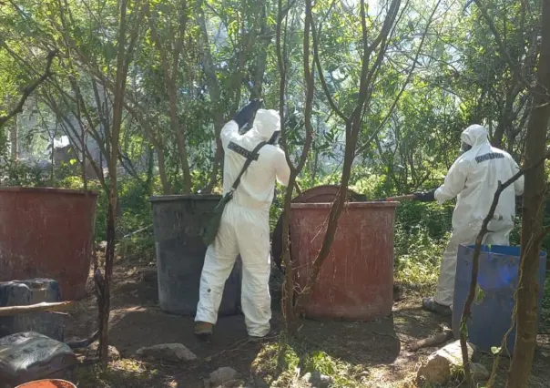 Aseguran más de 6 mil millones de pesos en droga en Durango; esto se sabe