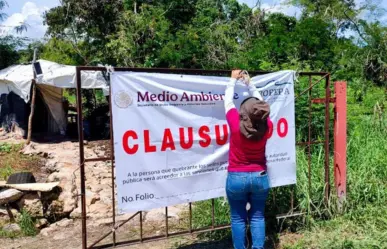 Clausuran definitivamente granja porcícola en Yucatán tras años de denuncias comunitarias