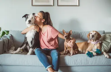 Mejora el bienestar de tu mascota con estos 5 consejos infalibles