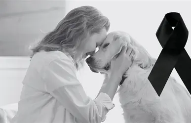 ¿Perdiste a tu mascota? Taller en Saltillo brinda apoyo psicológico