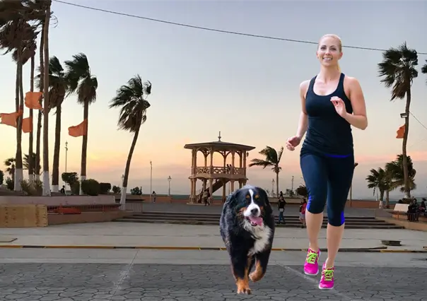 Lleva a tu lomhijo al malecón de La Paz y participa en la carrera Run 4 Paws