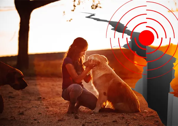 Guía práctica para proteger a tus mascotas durante un sismo de forma segura