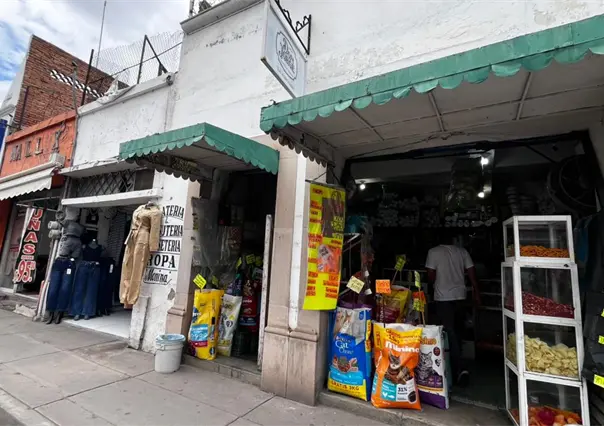 Empresarios deben ceder al aumento al salario mínimo a través de acuerdos: Senadora de Durango