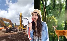 Inmobiliarias, principal enemigo de la selva, afirman defensores del territorio maya en Yucatán Inmobiliarias, principal enemigo de la selva, afirman defensores del territorio maya en Yucatán