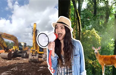 Inmobiliarias, principal enemigo de la selva, afirman defensores del territorio maya en Yucatán