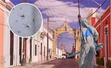 Invasión de mosquitos en Yucatán: ¿qué está pasando y cómo protegerse?