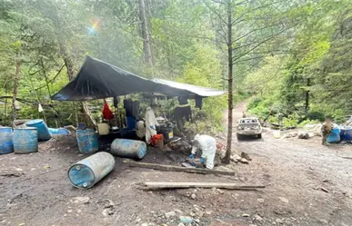 Golpe al narco en Durango: decomisan drogas con valor de 279 millones de pesos