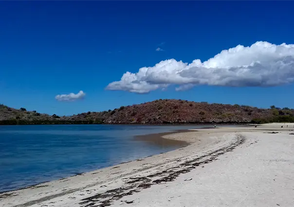 Clima en BCS | Para HOY se pronostican chubascos y temperaturas que rozan los 40°C