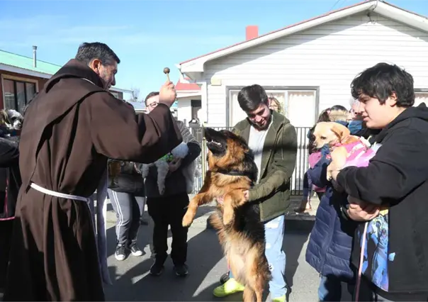¿Por qué el día de San Francisco de Asis se bendice a los animales?