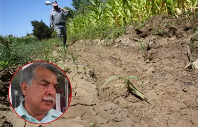 Productores del norte de Tamaulipas enfrentan retraso en la preparación de tierras