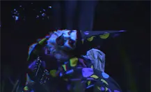 Buu en el Zoo: Tamatán se transforma para la temporada de Halloween más terrorífica Buu en el Zoo: Tamatán se transforma para la temporada de Halloween más terrorífica