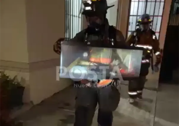 VIDEO | Así fue el rescate de mascotas tras un derrame de químico en Guadalupe