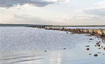 Semáforo del Agua en Tamaulipas: Municipios del norte permanecen en rojo Semáforo del Agua en Tamaulipas: Municipios del norte permanecen en rojo