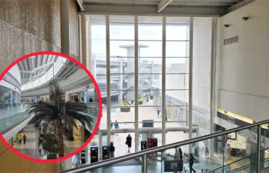 Paseo Durango y sus principales problemas, según sus propios clientes