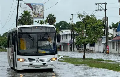 Estas son las colonias más afectadas por lluvia en Madero: 5 pulgadas de agua en 24 horas