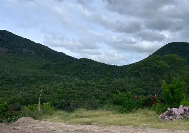 Clima en BCS | Estas son las temperaturas que se esperan hoy 12 de octubre