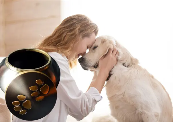 Los Cabos tendrá la primera funeraria para mascotas, ¿de qué trata?