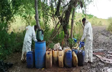 Operación Frontera Norte da aseguramientos en Baja California, Chihuahua, Coahuila, Sinaloa y Sonora