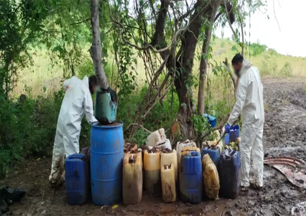 Operación Frontera Norte da aseguramientos en Baja California, Chihuahua, Coahuila, Sinaloa y Sonora