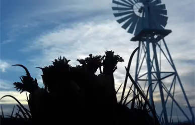 Clima en BCS | Este es el pronóstico de las temperaturas para este miércoles de quincena