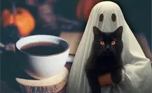 Halloween en Barrio Antiguo: 3 cafeterías para sentir el otoño y ¡un poco de miedo! Halloween en Barrio Antiguo: 3 cafeterías para sentir el otoño y ¡un poco de miedo!
