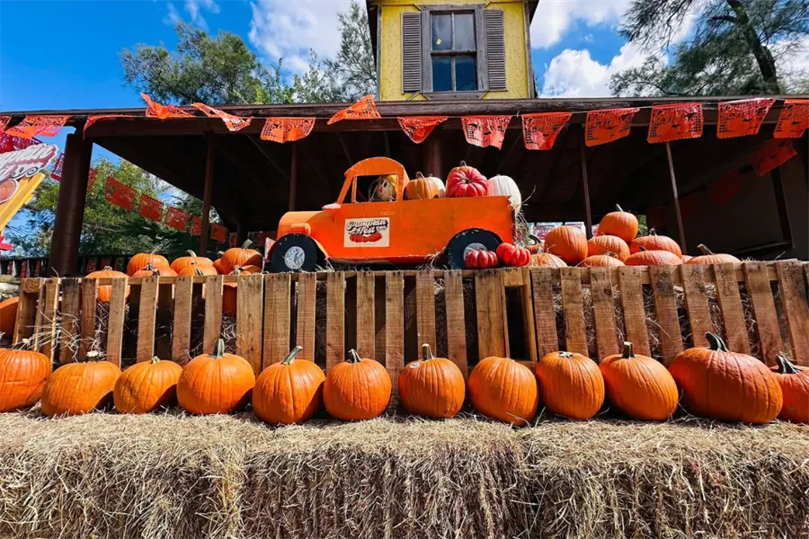 Demuestra tu talento este Halloween en el concurso de calabazas del Pumpkin Fest