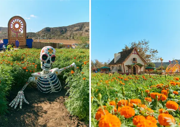 Día de Muertos 2025: Mictlán, el lugar en Tijuana con los spots más coloridos para tus fotos