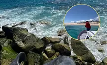 Un triste hallazgo frente a las costas de Los Cabos: retiran a ballenato sin vida cerca del Hotel Paradisus Un triste hallazgo frente a las costas de Los Cabos: retiran a ballenato sin vida cerca del Hotel Paradisus