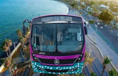 Así funcionará el nuevo organismo operador del Transporte público en La Paz