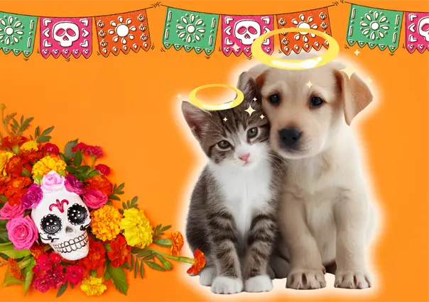 Día de Muertos 2025: ¿Cuándo se hace la ofrenda para honrar a nuestras mascotas?