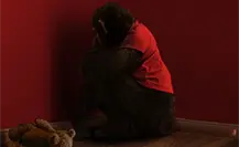 Un chimpancé enloquece en el tráiler de Primate, una nueva película sobre mascotas asesinas Un chimpancé enloquece en el tráiler de Primate, una nueva película sobre mascotas asesinas