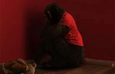 Un chimpancé enloquece en el tráiler de Primate, una nueva película sobre mascotas asesinas