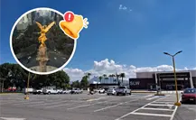 Aeropuerto Plan de Guadalupe: reactivan vuelos a CDMX con mejoras operativas y nueva imagen Aeropuerto Plan de Guadalupe: reactivan vuelos a CDMX con mejoras operativas y nueva imagen