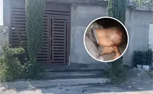 Detienen a hombre por presunto abuso sexual de dos niñas en Juárez, Nuevo León Detienen a hombre por presunto abuso sexual de dos niñas en Juárez, Nuevo León