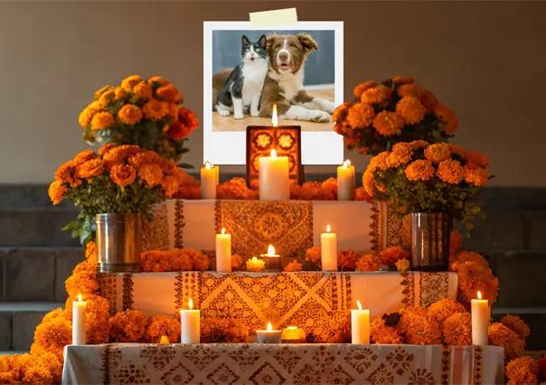 Día de Muertos 2025: ¿Qué debe llevar el altar para nuestras mascotas?