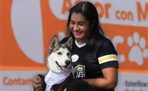 Nuevo reglamento de bienestar animal en Guadalupe ¿qué contempla? Nuevo reglamento de bienestar animal en Guadalupe ¿qué contempla?