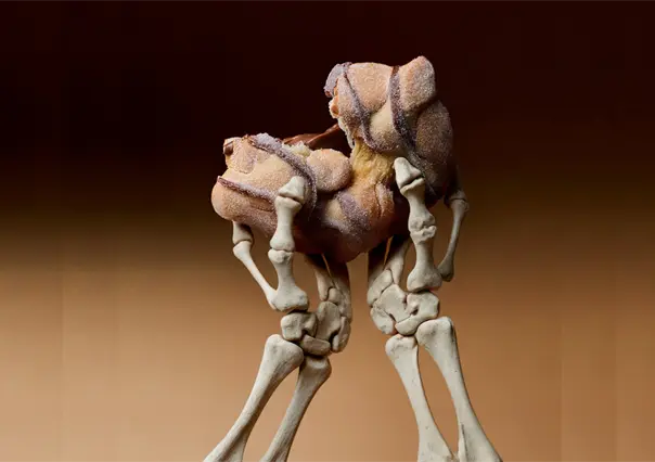 5 deliciosas opciones de pan de muerto que debes probar en Ciudad Victoria este octubre