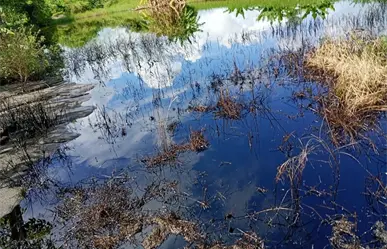 Campesinos y vecinos denuncian derrame de hidrocarburo en Altamira Tamaulipas; esto se sabe
