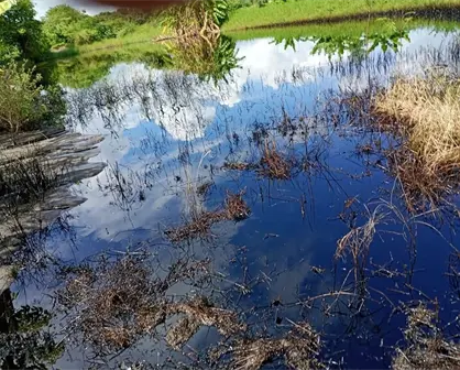 Campesinos y vecinos denuncian derrame de hidrocarburo en Altamira Tamaulipas; esto se sabe
