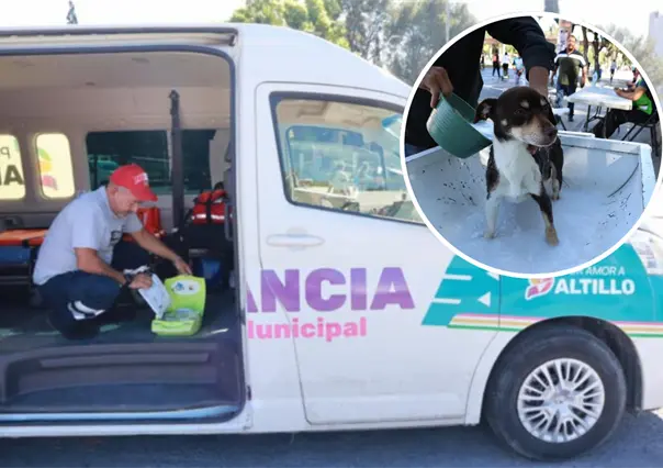 Visita la Ruta por Amor a Saltillo y aprovecha los servicios de salud y para mascotas sin costo