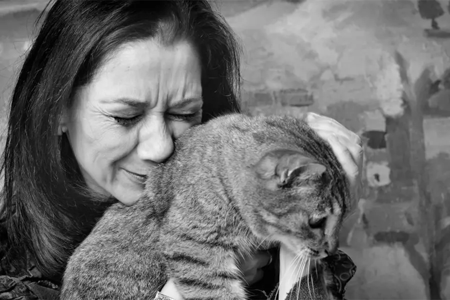 Congreso de Edomex analiza regular animales de terapia y servicio para garantizar su acceso a establecimientos