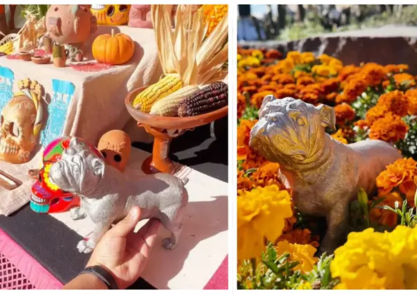 GP México 2025: Honran a Roscoe, mascota de Lewis Hamilton, con altar de Día de Muertos