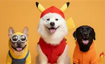 Mejores ideas de disfraces para que tu lomito gane el concurso de Día de Muertos perruno en Edomex Mejores ideas de disfraces para que tu lomito gane el concurso de Día de Muertos perruno en Edomex