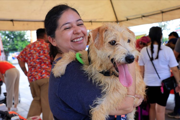 imagen-cuerpo imagen-cuerpo