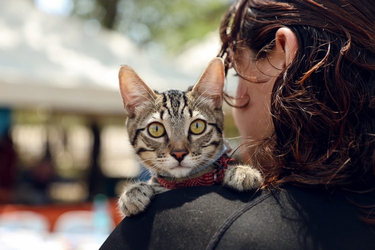 imagen-cuerpo imagen-cuerpo